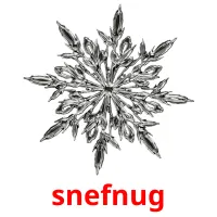 snefnug flashcards illustrate