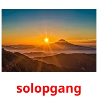 solopgang flashcards illustrate