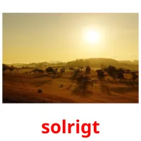 solrigt flashcards illustrate