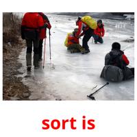 sort is picture flashcards