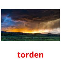 torden flashcards illustrate