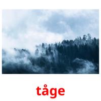 tåge picture flashcards