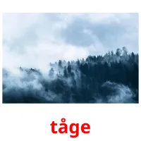 tåge flashcards illustrate