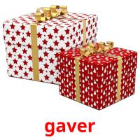 gaver picture flashcards