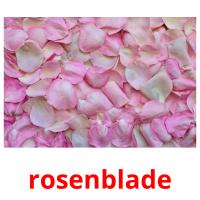 rosenblade Bildkarteikarten