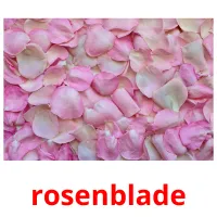 rosenblade flashcards illustrate