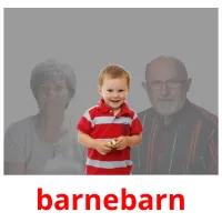 barnebarn flashcards illustrate