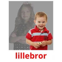 lillebror flashcards illustrate