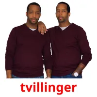 tvillinger flashcards illustrate