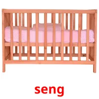 seng picture flashcards