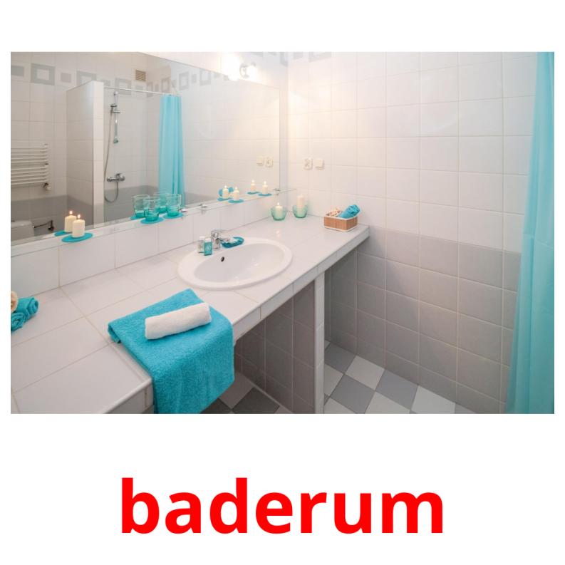 baderum picture flashcards