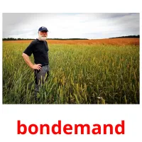 bondemand picture flashcards