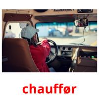 chauffør picture flashcards