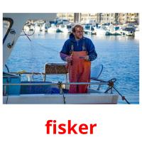 fisker flashcards illustrate