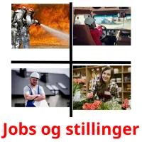 Jobs og stillinger picture flashcards