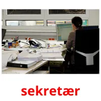 sekretær picture flashcards