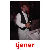 tjener picture flashcards