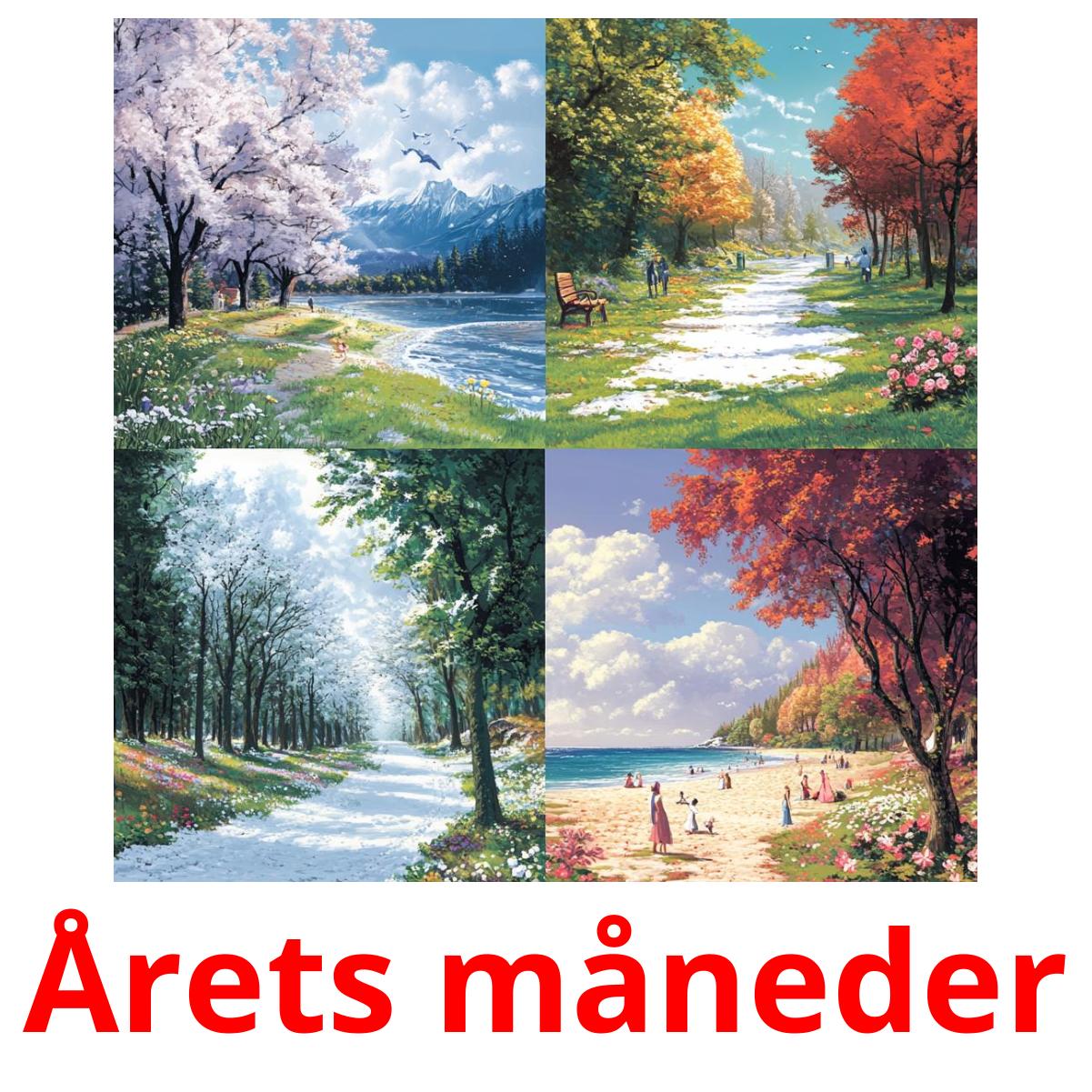 Årets måneder picture flashcards