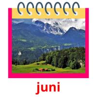 juni picture flashcards