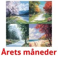 Årets måneder flashcards illustrate