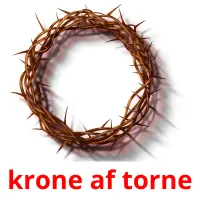 krone af torne picture flashcards