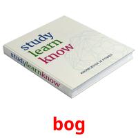 bog card for translate