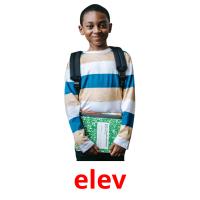 elev picture flashcards