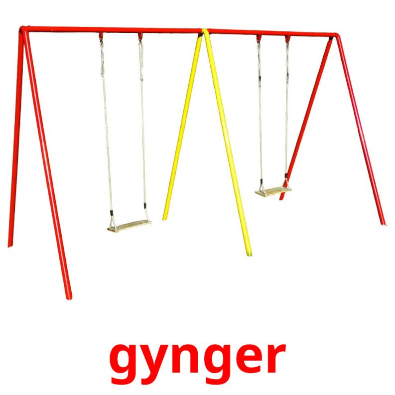 gynger picture flashcards