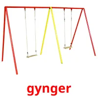 gynger flashcards illustrate