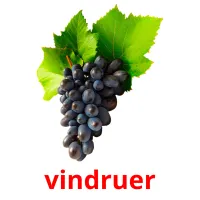 vindruer cartões com imagens