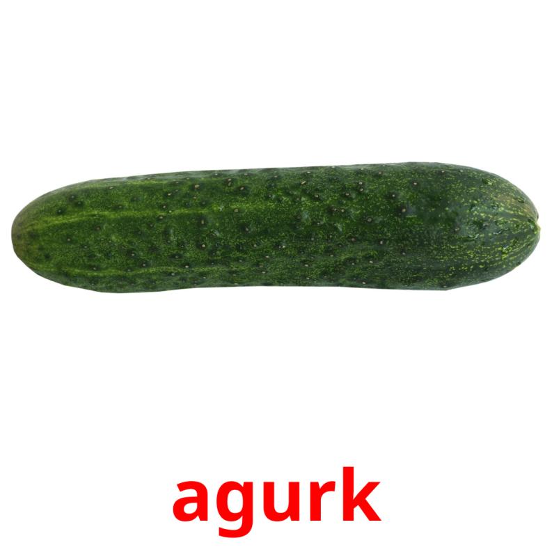 agurk picture flashcards