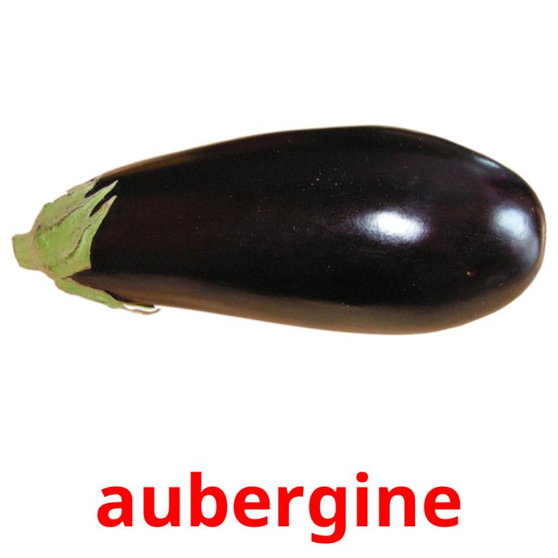 aubergine picture flashcards