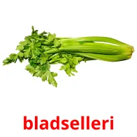 bladselleri Bildkarteikarten