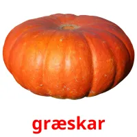 græskar Bildkarteikarten