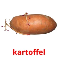 kartoffel Bildkarteikarten