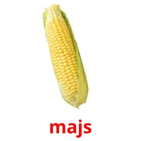 majs cartões com imagens