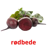 rødbede cartões com imagens