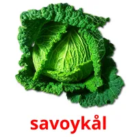 savoykål Bildkarteikarten