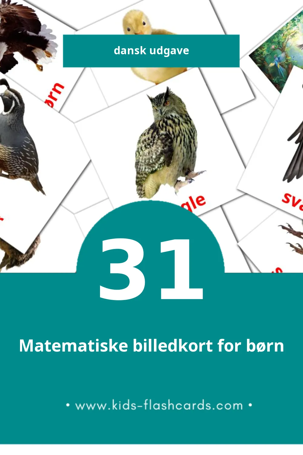 Visuelle billedkort for børn om Fugle til småbørn (31 kort på Dansk)