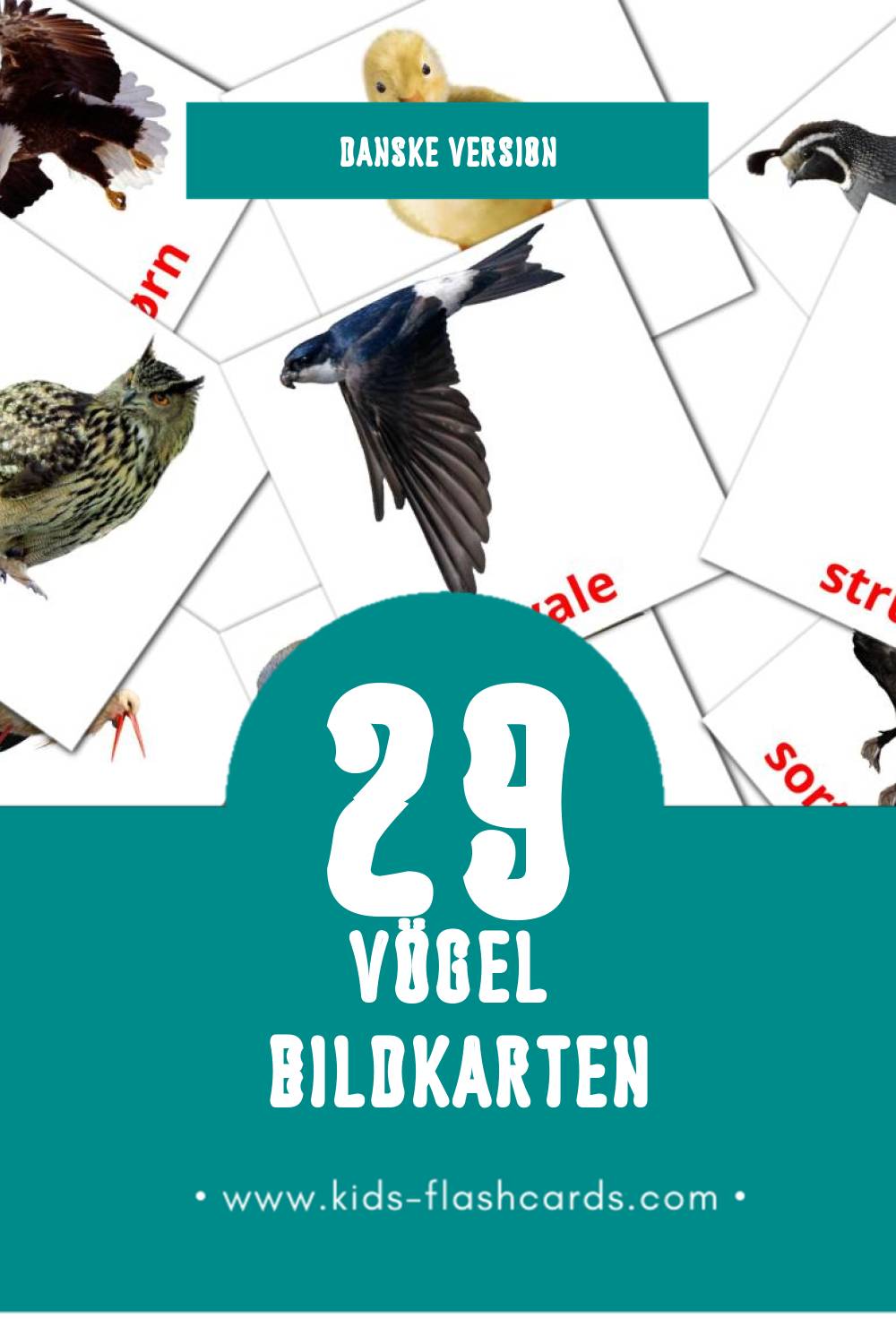 Visual Fugle Flashcards für Kleinkinder (29 Karten in Dansk)