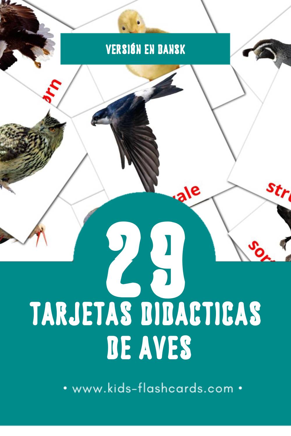 Tarjetas visuales de Fugle para niños pequeños (29 tarjetas en Dansk)