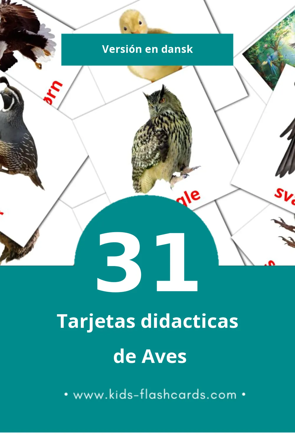 Tarjetas visuales de Fugle para niños pequeños (31 tarjetas en Dansk)