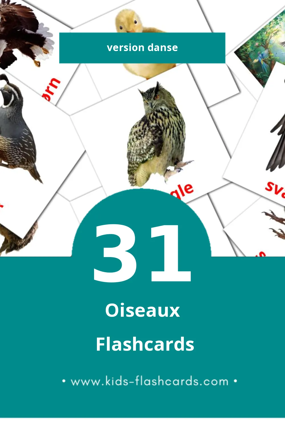 Flashcards Visual Fugle pour les tout-petits (31 cartes en Danse)