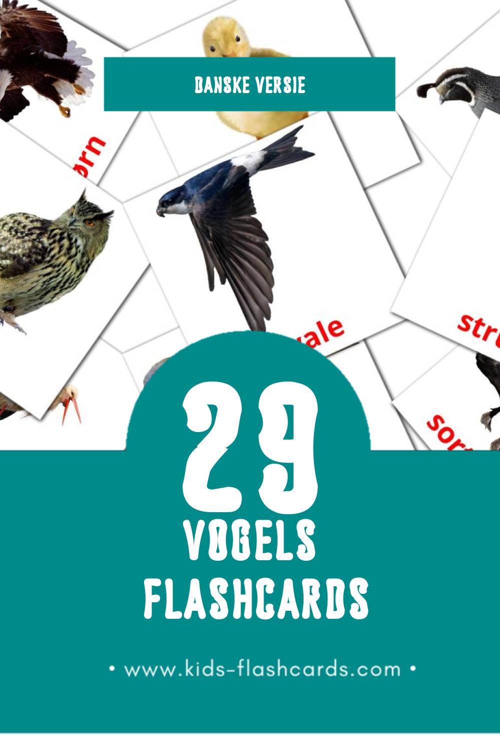 Visuele Fugle Flashcards voor Kleuters (29 kaarten in het Dansk)