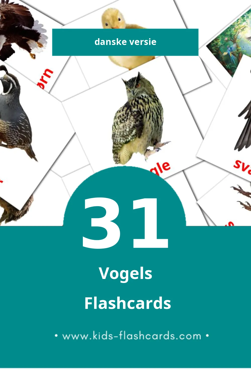 Visuele Fugle Flashcards voor Kleuters (31 kaarten in het Dansk)