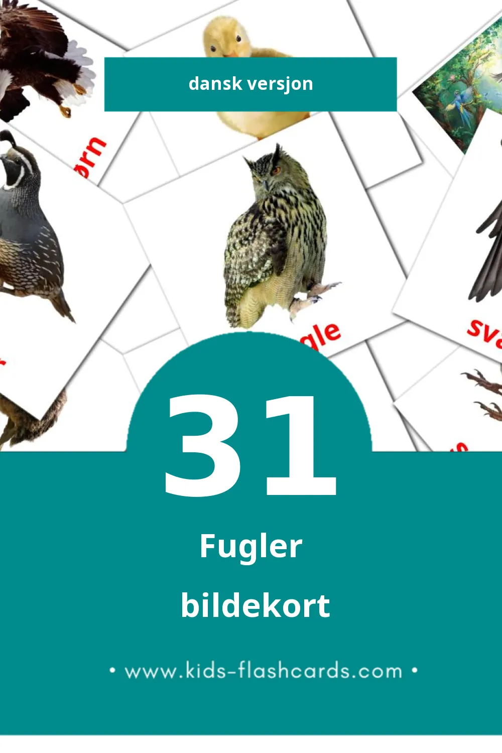 Visuelle Fugle bildekort for småbarn (31 kort på Dansk)