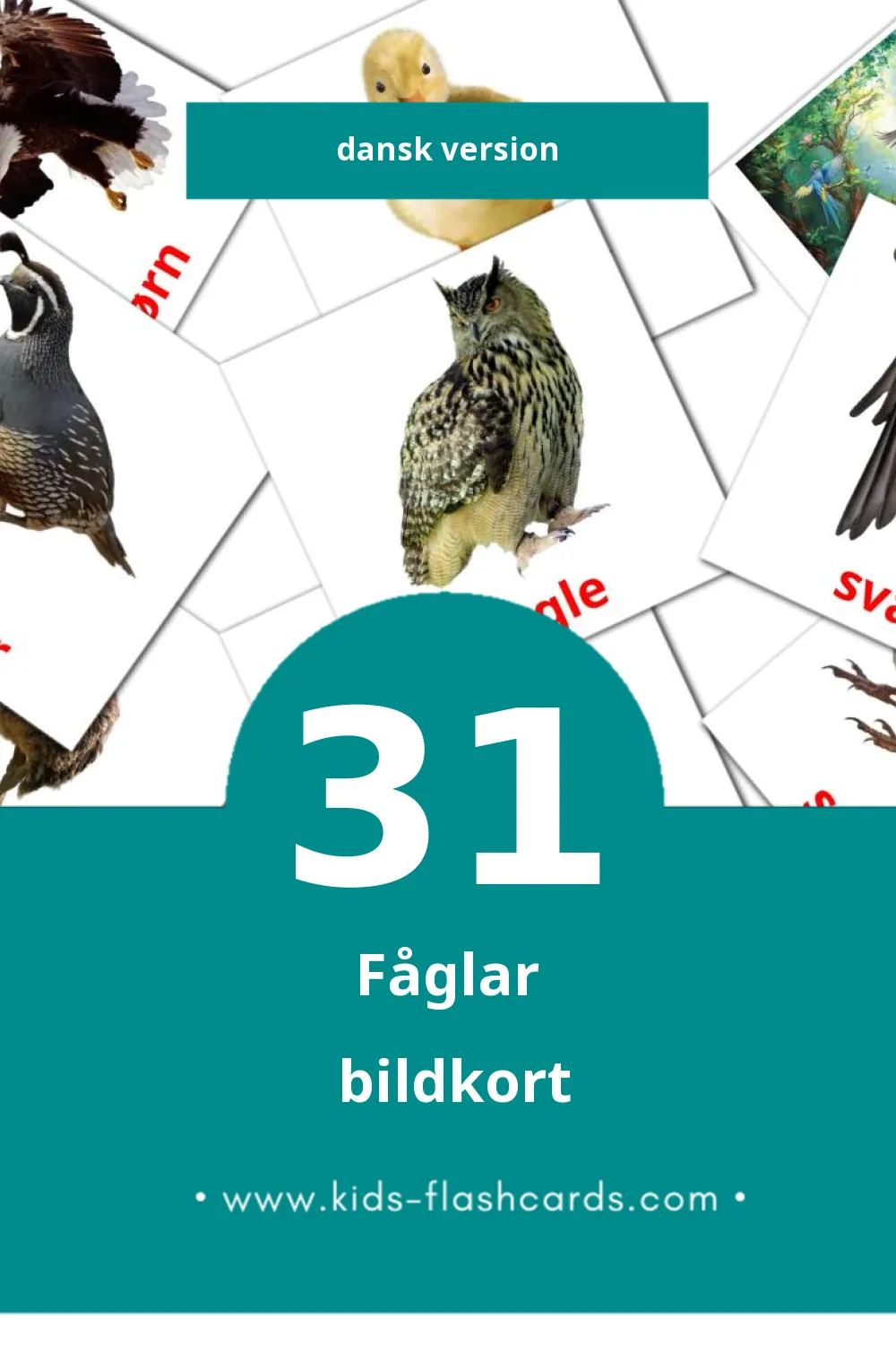 Visuella Fugle för småbarn (31 bildkort för barn på Dansk)