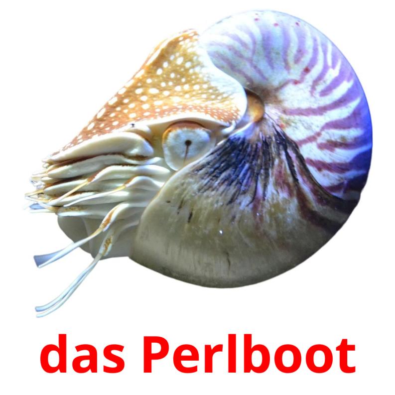 das Perlboot picture flashcards