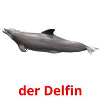 der Delfin card for translate