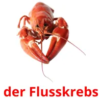 der Flusskrebs ansichtkaarten